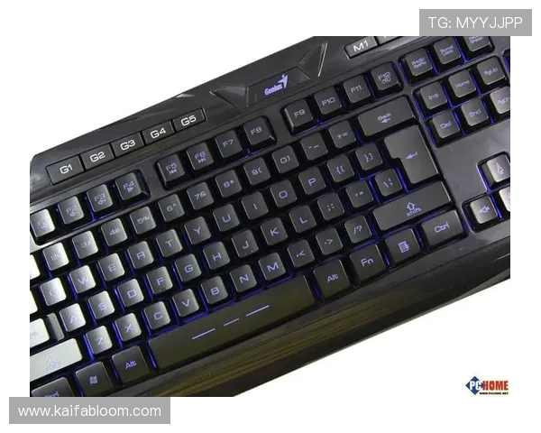 通过k8凯发版官网快速充值，体验流畅的游戏资金流转与管理